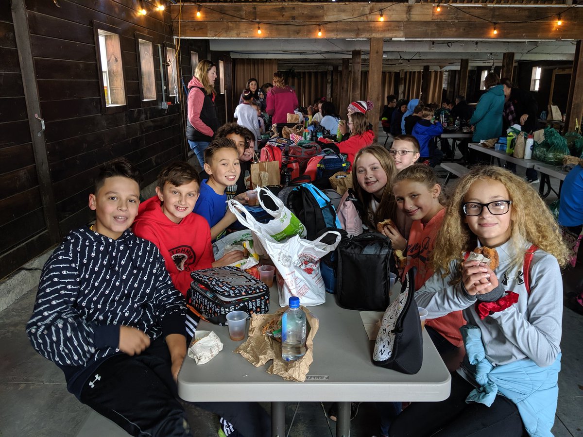 Team M6D tweet media