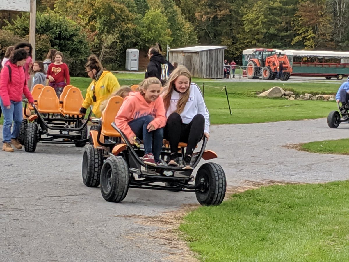 Team M6D tweet media