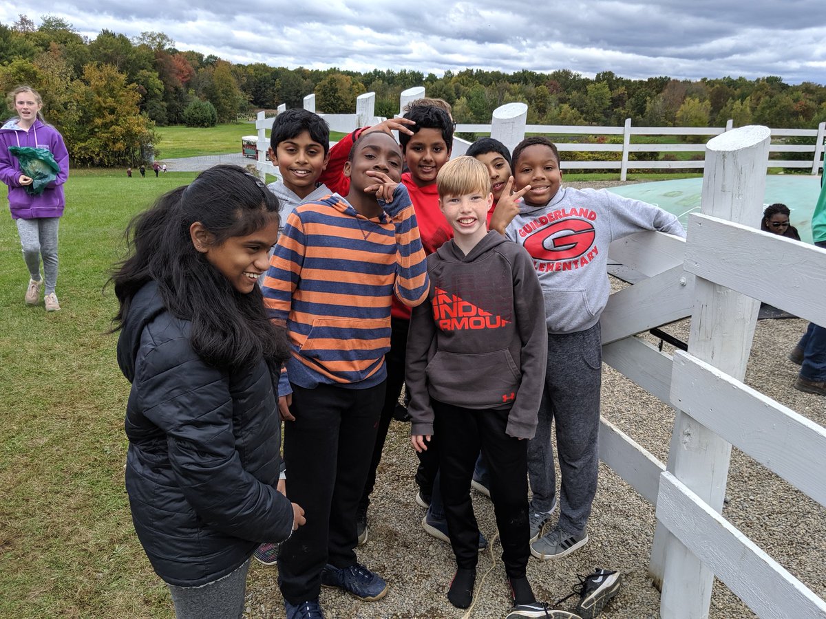 Team M6D tweet media