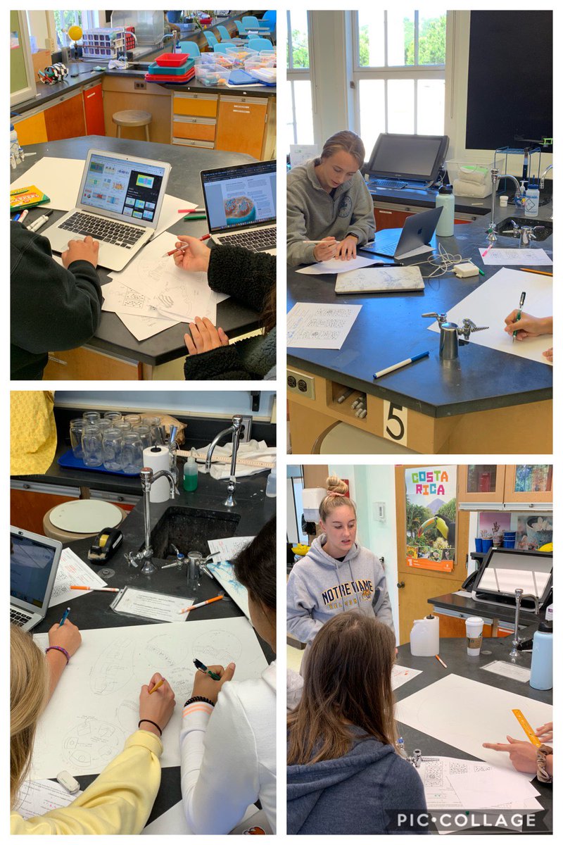 TechBioBek's tweet image. Inspired by @BiologyDJ today the #apbio3 #ndbtigers are beginning their giant cell sketchnotes. Challenge to show all forms of transport and the cell membrane!