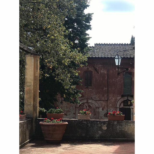 vpinniger's tweet photo. Beautiful Tuscany. #tuscany #italy🇮🇹 @montestigliano https://t.co/Aj96nGK9dx https://t.co/P3QYqwYbhg
