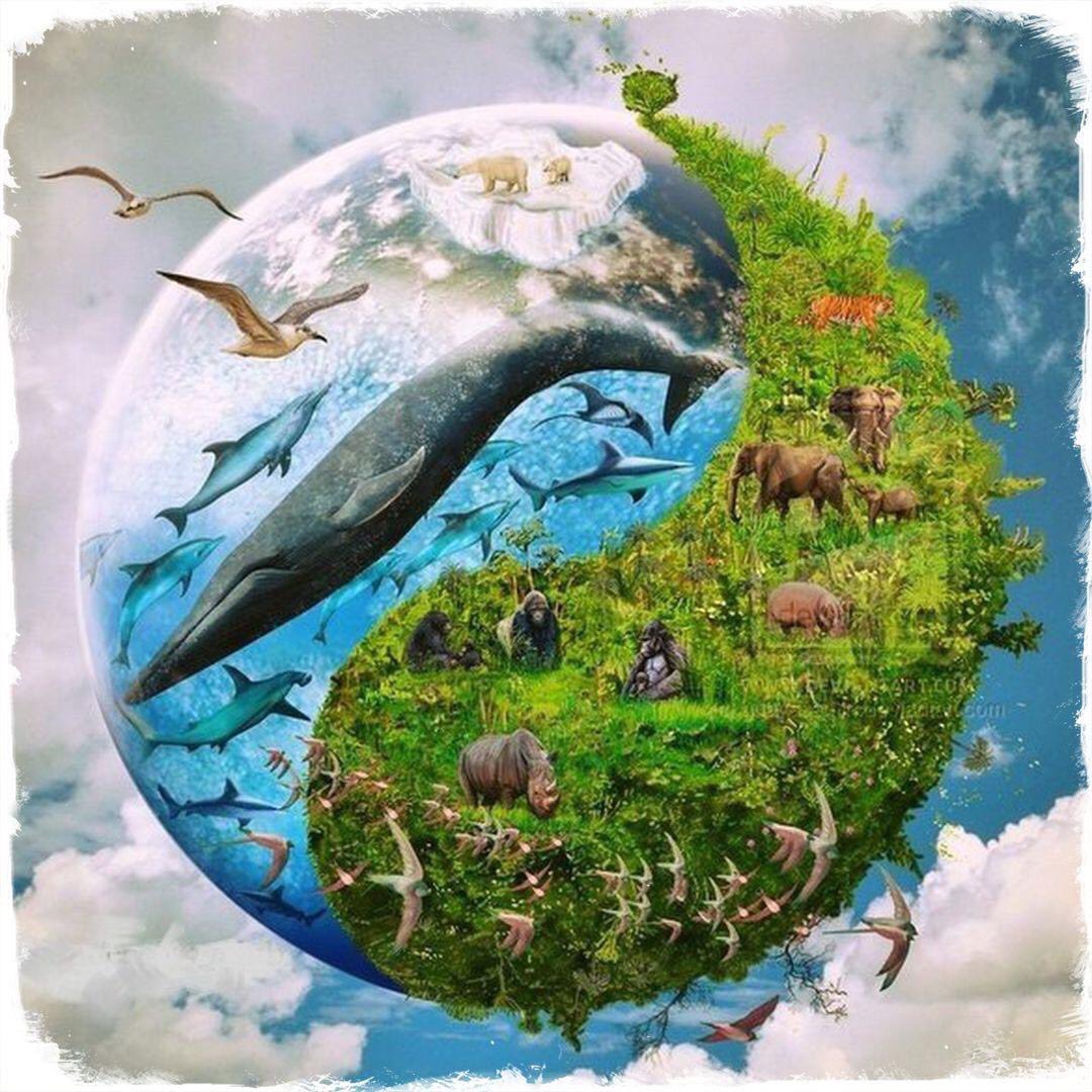 Живые существа организмы окружающий. Защита природы. Окружающая среда. Планета земля экология. Природа земли.