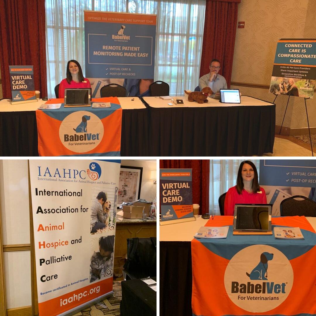 BabelVet's tweet photo. BabelVet is proud to be at the International Association of Animal Hospice and Palliative Care Conference- their 10th anniversary! Connected care is compassionate care! #iaahpc #iaahpcconference #veterinary #animalhospice https://t.co/19PXUChQ2Z