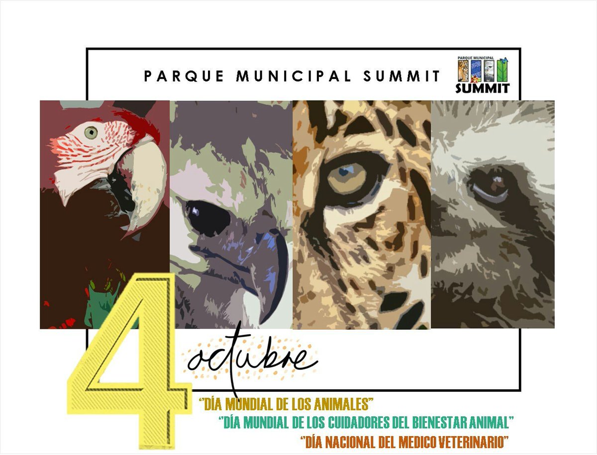 Los animales cumplen una muy importante función vital en el planeta. El bienestar de todos nosotros está integrado al bienestar del hombre y el medio ambiente. ¡Hoy celebremos para todos los animales del mundo, para sus cuidadores y para los Médicos Veterinarios de Panamá''.