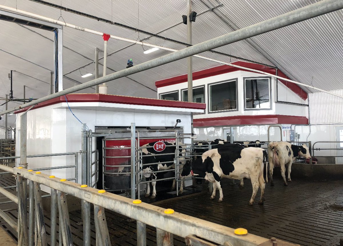 Celebrating 2 years of milking w <a href="/DairyRobot/">Lely North America</a> new A5 already.   😁360000 combined milkings. #reliable #lowmaintenance 🐄 🐮 🐄 🥛