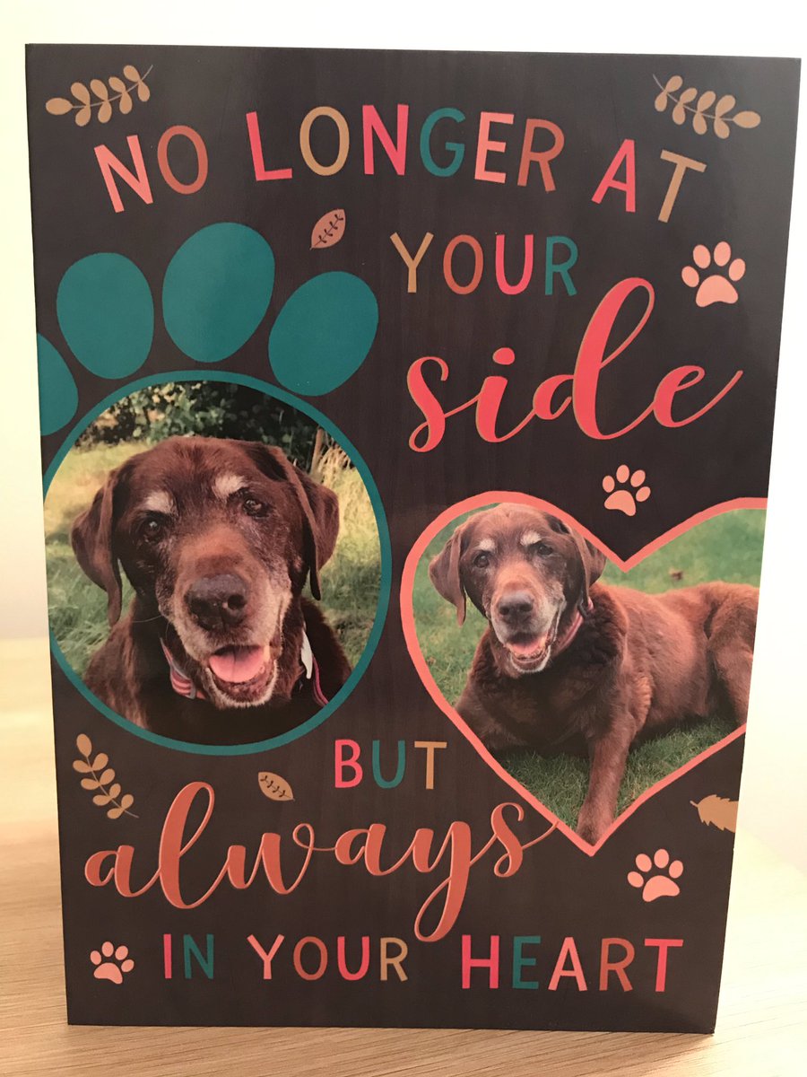 We have amazing people in our life don’t we <a href="/OCDScott/">Scott Davis</a> . @Angiecaakkee &amp; Alex, <a href="/YampyYamYam/">Yampy Yamyam</a>, <a href="/KatherineBlue84/">Kate Elizabeth</a> and to everyone who keeps checking in to see how I’m doing, thank you all for caring so much- love you all xxx