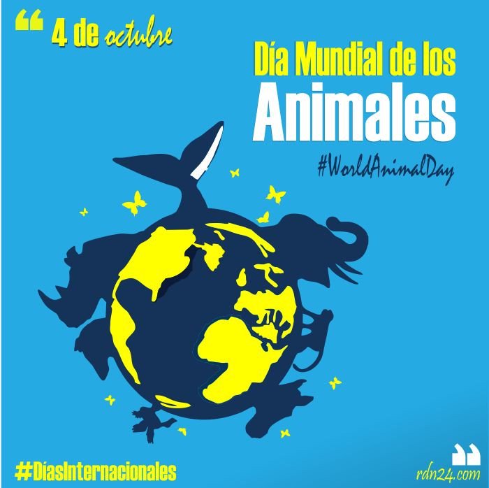 slwmin_'s tweet photo. Give love to receive it, don't be ignorant, respect them, they feel fear or sadness like you.💛🐕🐅🐂🐈🐒🦒🐘🐋🦔🦁🧡
#WorldAnimalDay #CobacamSeybaplaya
@cobach04 @vigilanteverde @jgaedtke1 https://t.co/wHOZtZA4y1