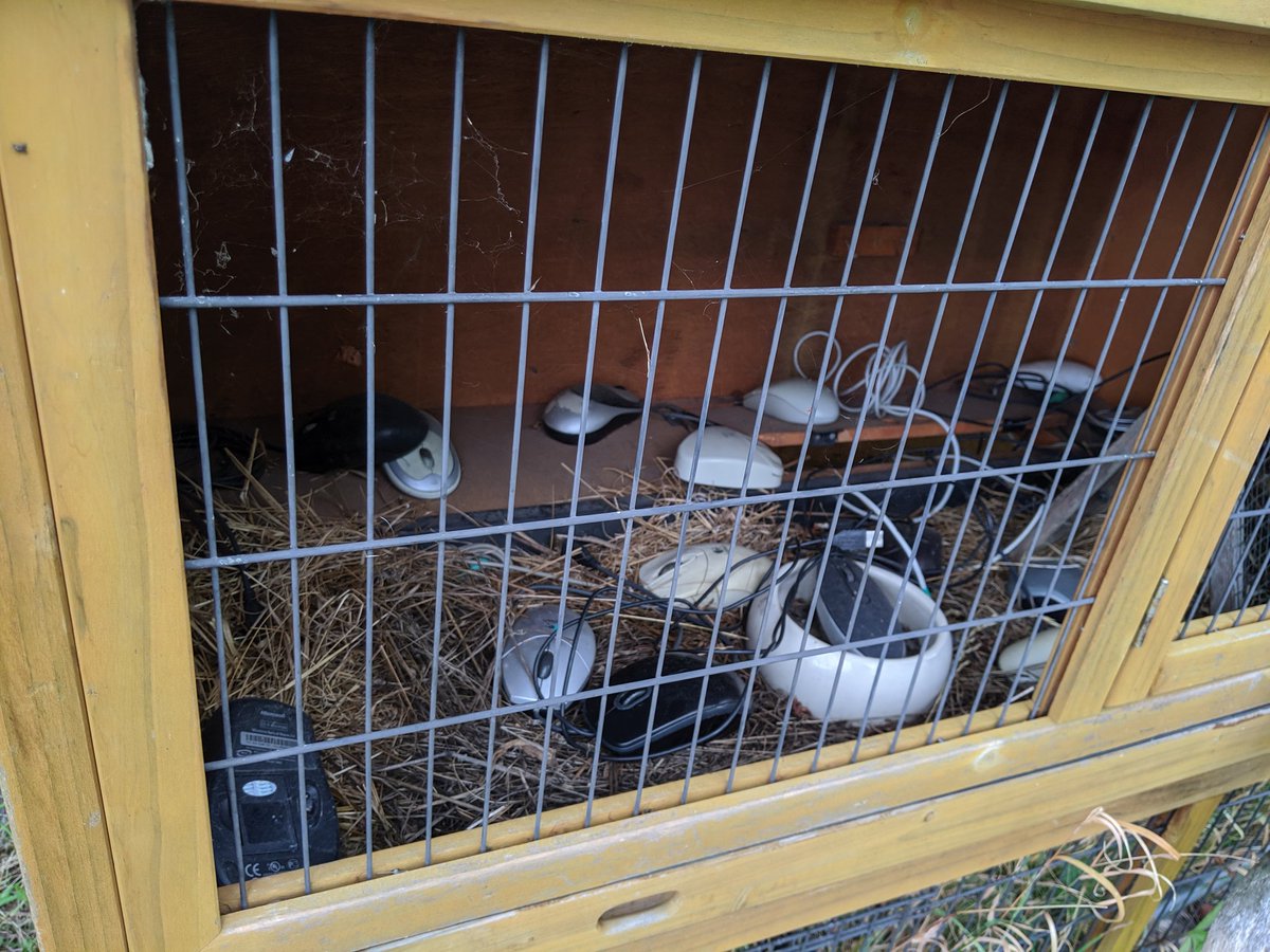 drayde's tweet image. CERN animal shelter #nerdsatwork