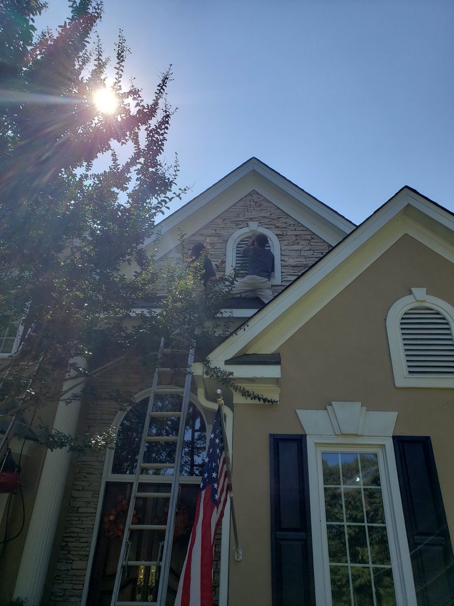 Just in time for Halloween. This bat wasn't to happy about us evicting him and closing up his attic entrance to one of our valued customers home. If they're not paying rent, they gotta go.