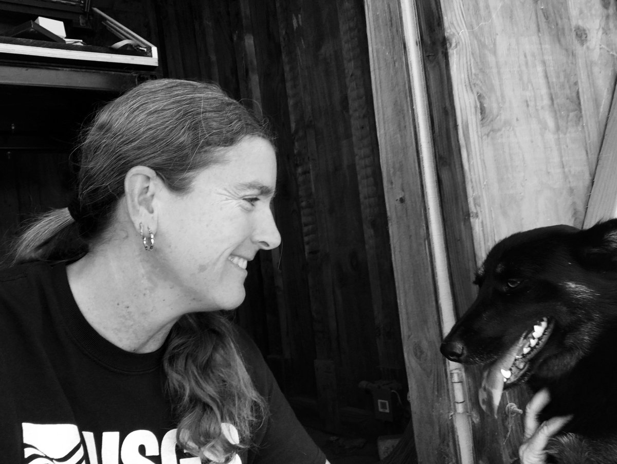 USGSwaterCA's tweet image. Connecting with the locals! #landsubsidence specialist, Michelle Sneed, was greeted by this sweet doggo upon arrival at an #extensometer site in the #CentralValley.  #fieldphotofriday