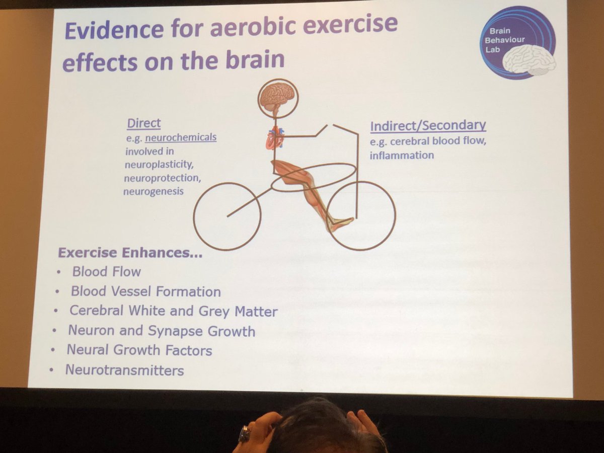 BacktoMotion's tweet image. #SPC2019 #movement does helps the brain