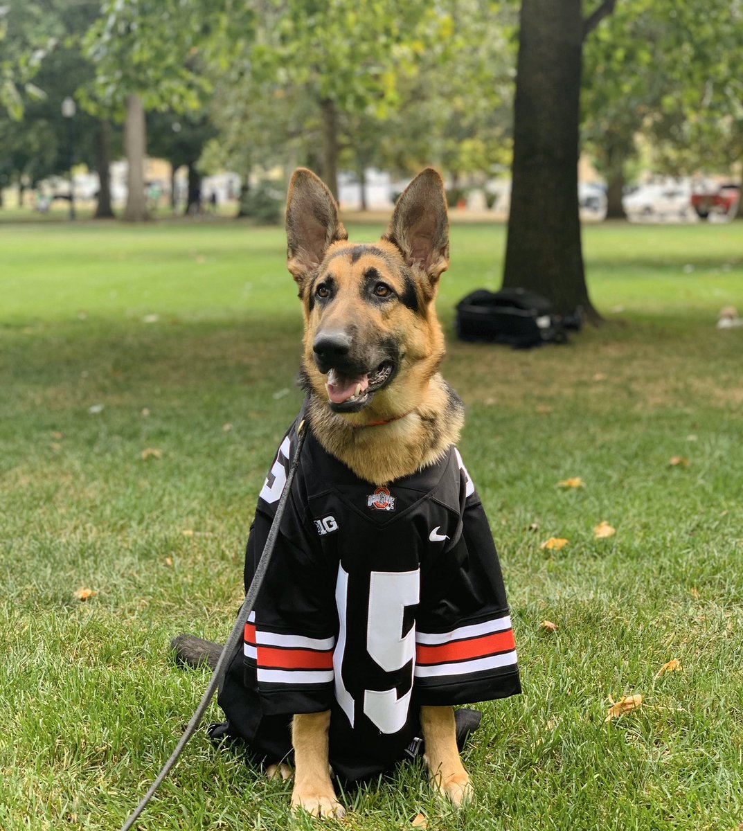 ohio state dog jersey