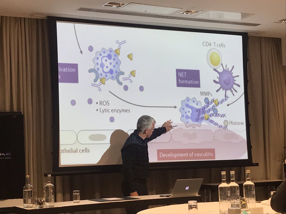 j2scott50's tweet photo. The lowdown on ANCA vasculitis...”neutrophils go bananas” @THKC1 #kidneyclub https://t.co/zUCaWR4B50