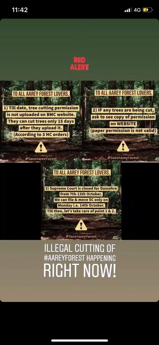 The cowards started cutting the trees at #Aarey in the dark, without the 15 days wait, which is illegal btw. COWARDS! You know we the civilians are powerful and that’s EXACTLY why you chose to do this in the dark. #SaveAareySaveMumbai