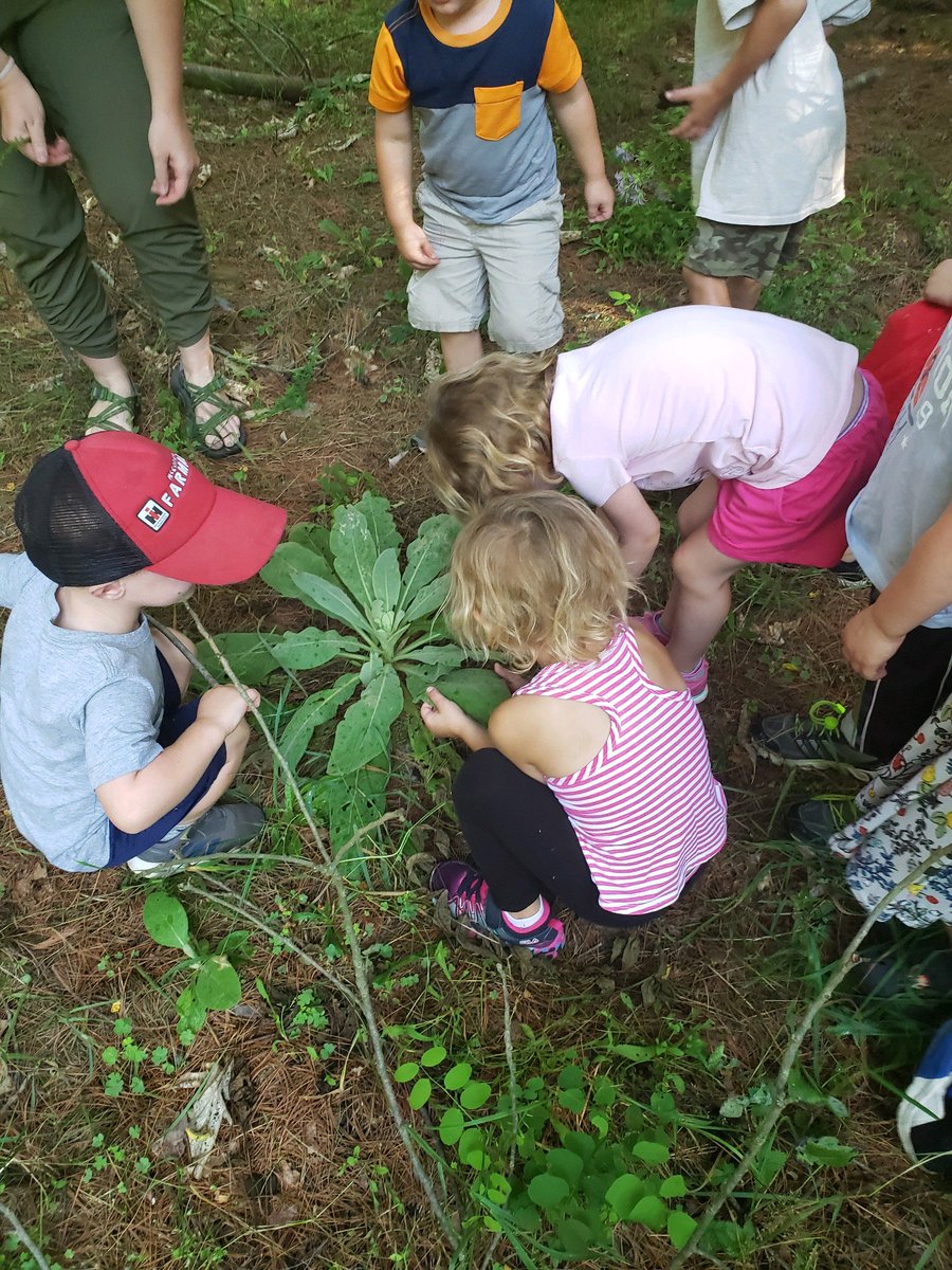 cwc_mi's tweet photo. Our newest program, Preschool Preservers, is officially available for registration. Know a preschool teacher who would love to get their class outdoors? Contact alexis@cwc-mi.org
https://t.co/sIbn4fNmRm https://t.co/BcCFmwrfmT