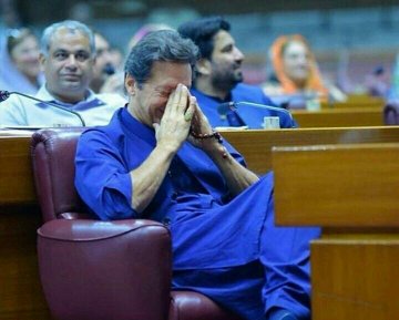 View image on Twitter