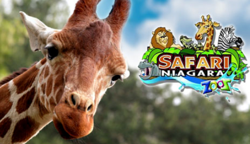 SaveABuckOnline's tweet image. This is your last weekend to redeem and save 34% off admission for one to @safariniagara ! 

Click on the link in our bio to redeem, or download the Save the Buck App! 

#SaveaBuck #SafariNiagara #niagaradeals