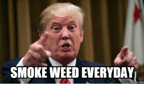 bombheadshop's tweet photo. The only thing i'd listen trump say #infekt #mvrda #samplifire #cervantes #masterpiece #ballroom #STS9 #pushthesky #redrocks #BlockParty #ott #marvelyears #eprom #thriftworks #daftpunk #yourmomshouse #quinnxcii #3lau #partyfavor #milehighspirits #crowdsurf #noswet #stompout #5k https://t.co/nfhCwG4hIV