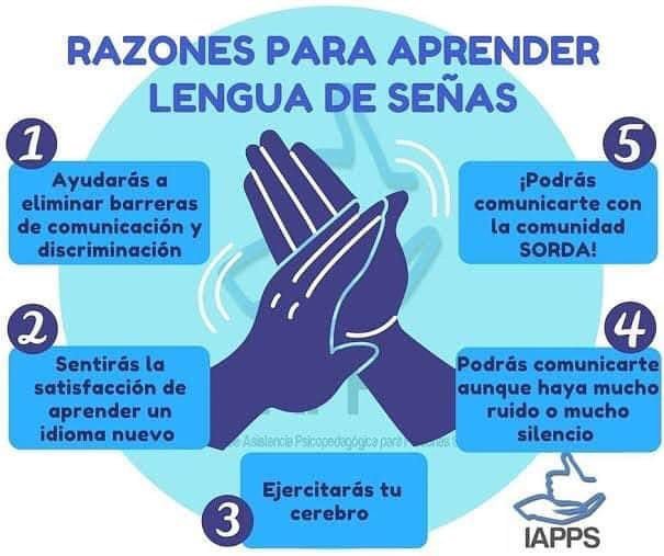 valegalito's tweet photo. Lengua de señas... ese sería mi idioma nuevo....@Difusion365 https://t.co/ziERQIev4p