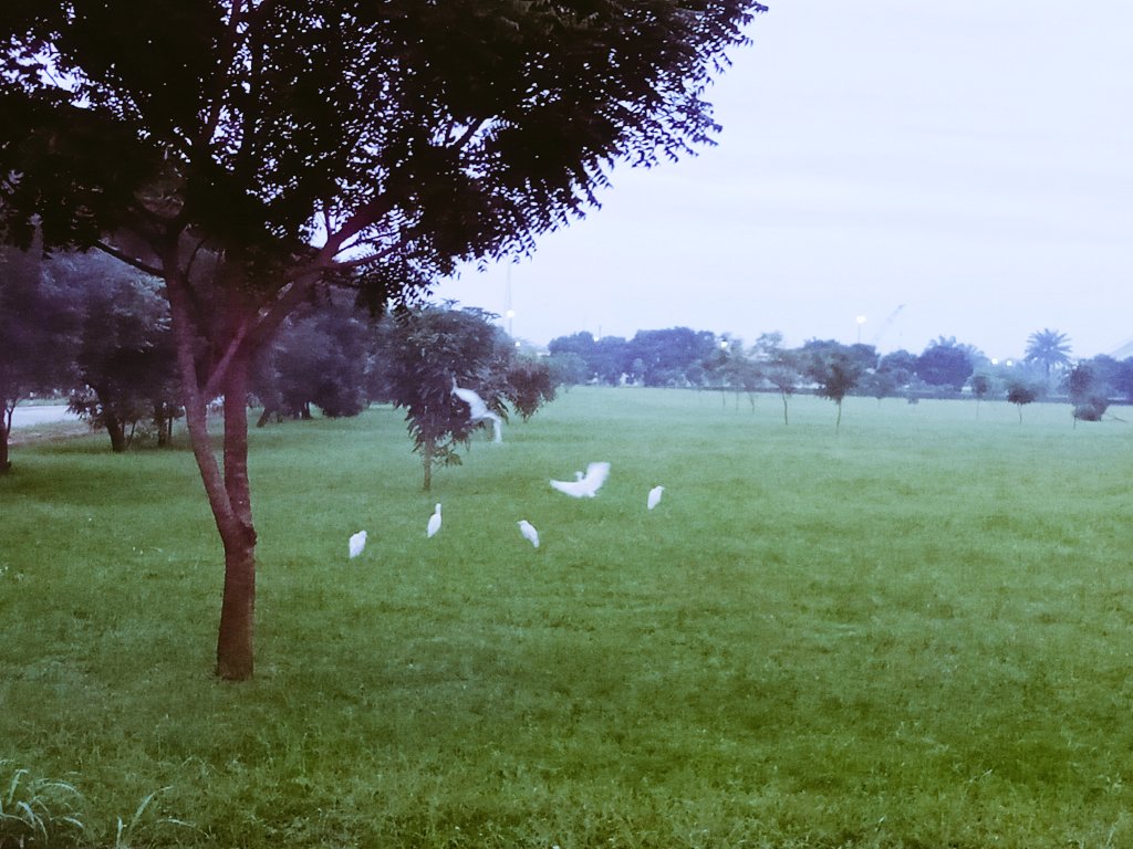 AbbJayanta's tweet image. I enjoy changing my morning running track..wait for pleasant surprises...never disappointed..true that beautiful destinations are possible in unknown journeys #exploreunknown