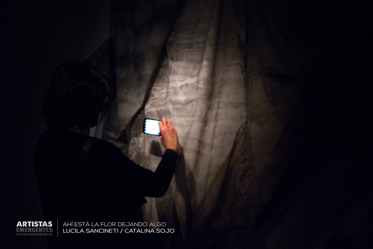 Curaduría y Gestión tweet media