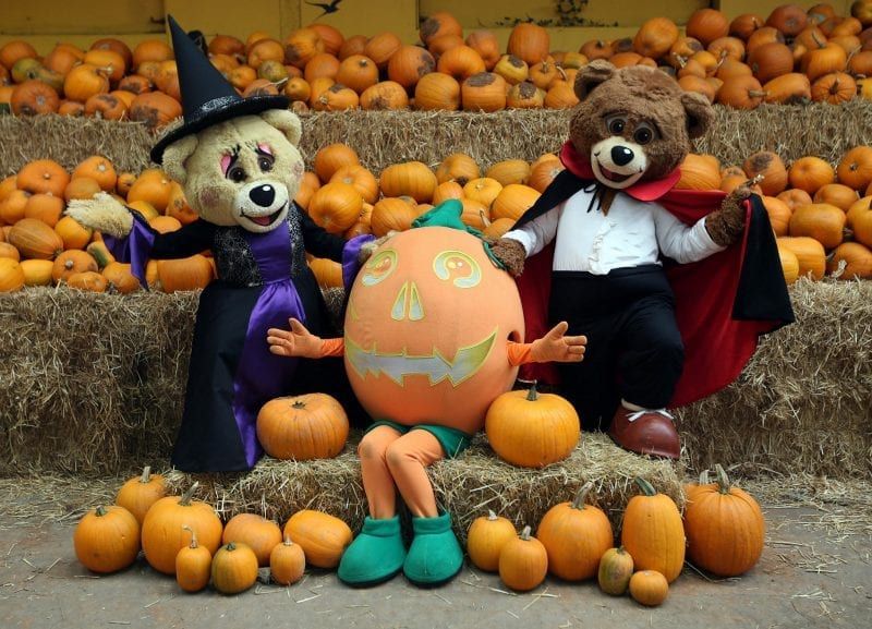 Devon is gearing up for a 'Spooky Spine-tingler of a Half Term', check out what's on here buff.ly/32ZxByX at <a href="/DevonTopDaysOut/">Devon's Top Attractions</a>  <a href="/RadioDevon/">Radio Devon</a>  <a href="/Devon_Hour/">#DevonHour</a>