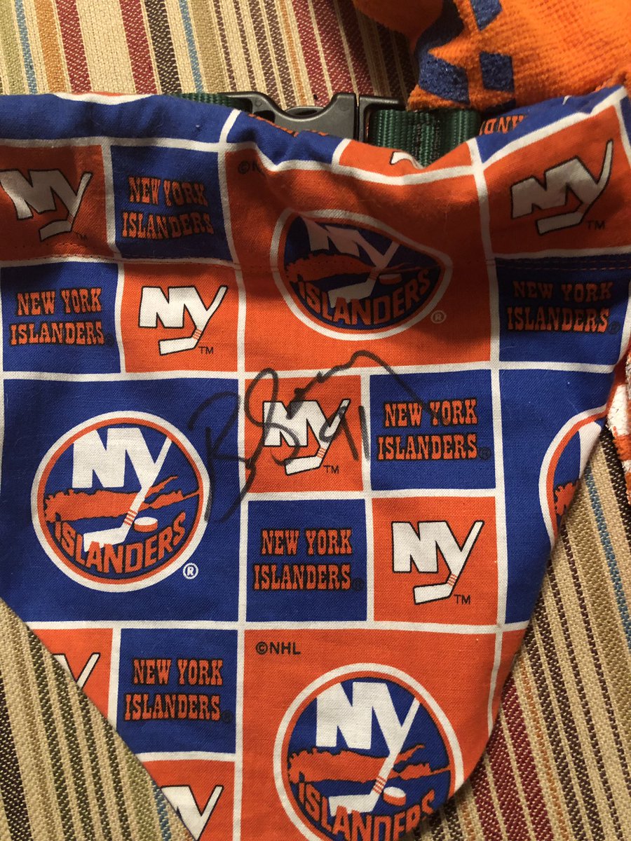 mattyrockstar1's tweet photo. this pup is all ready in gamenight mode ready for islanders hockey to return with her lucky butch goring signed bandanna as she watches the boys on @IslesMSGN #guidedogfoundation #isles #futureguidedog https://t.co/gue8m0jgW1