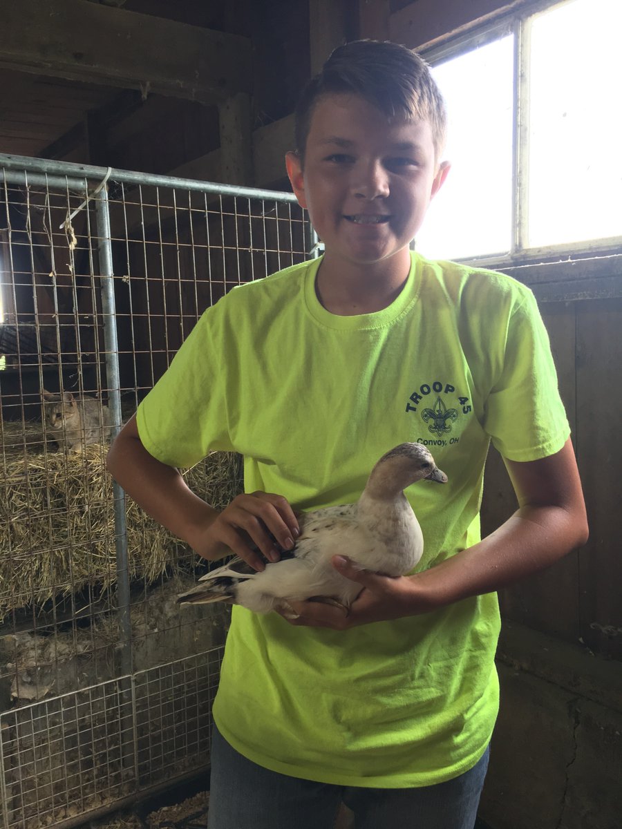 FFAcrestview's tweet photo. #2019FairHighlight is sophomore Braxton Williamson! Braxton was champion and reserve champion waterfowl, he was also the poultry representative for showman of showmen. https://t.co/YchcX50qUy
