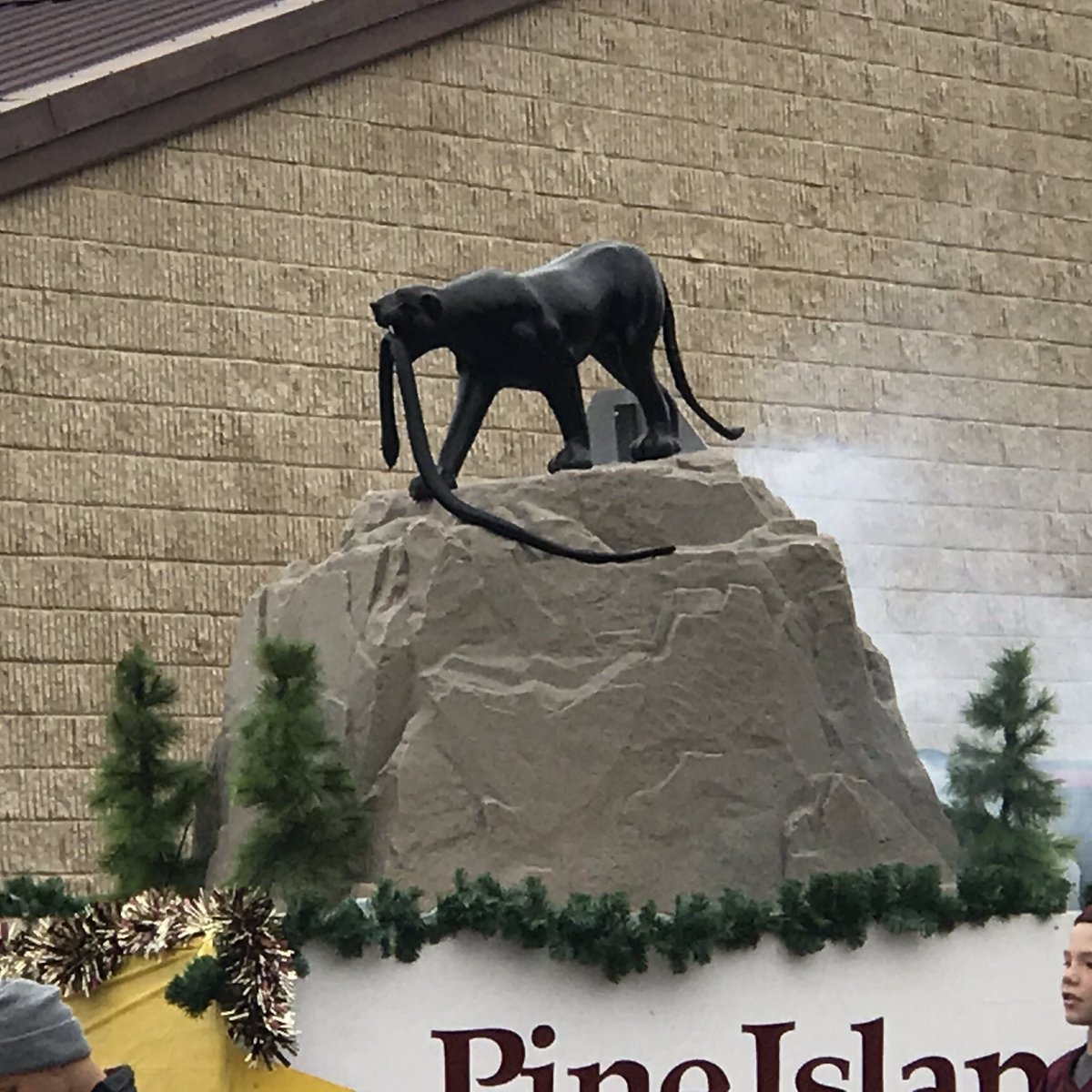 tammyb441968's tweet photo. Pine Island Homecoming Panther Proud! https://t.co/Sm3hQhk2gE