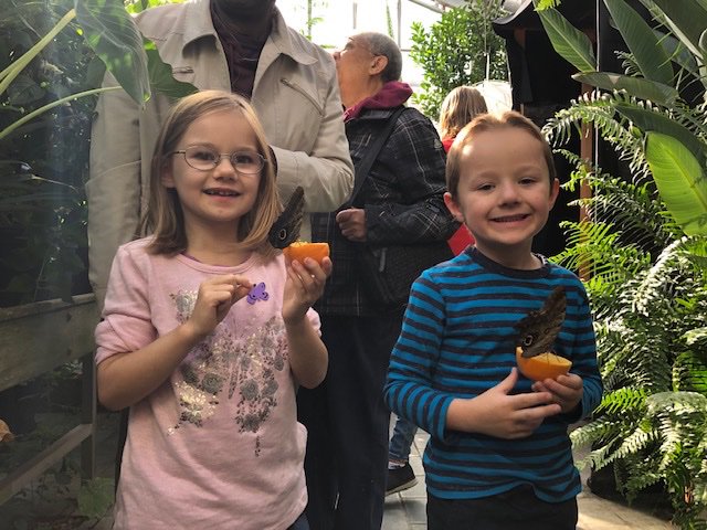 CU_President's tweet photo. At the wonderful @Carleton_U Biology Butterfly Show. Thank you Ed Bruggink and @CarletonBiology for sharing your passion for beautiful butterflies with our community. Everyone is welcome #CarletonButterfly2019
https://t.co/yOoAmfPITi https://t.co/V1FlPFSicS
