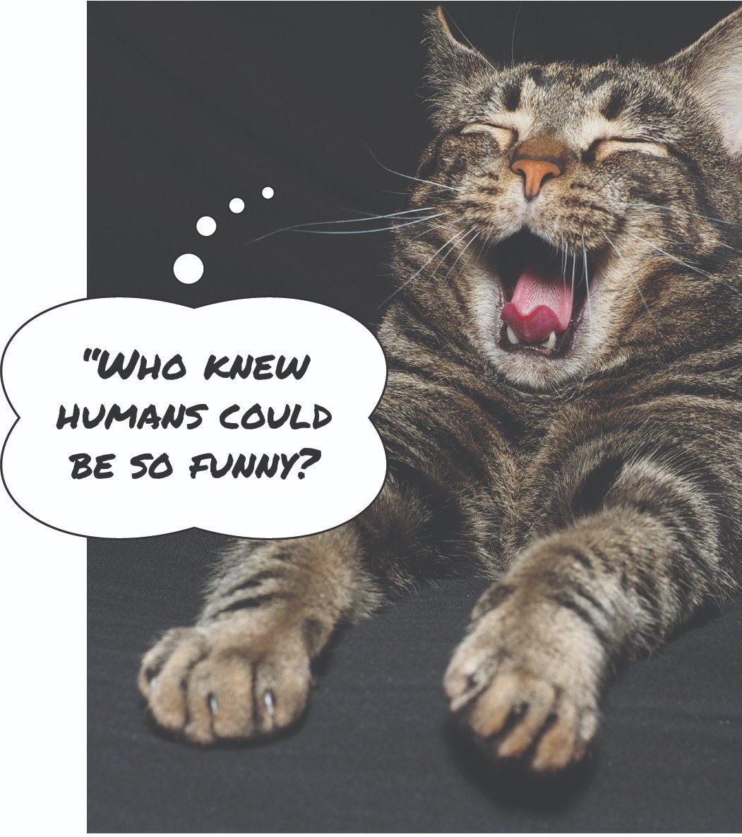 Join us for a night of improv, food and drink at iO theater - we're not kitten - it's gonna be the cat's pajamas! facebook.com/events/4156639…