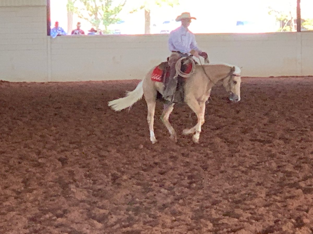Will Wallendorf demonstrating 129 at The Return To The Remuda.