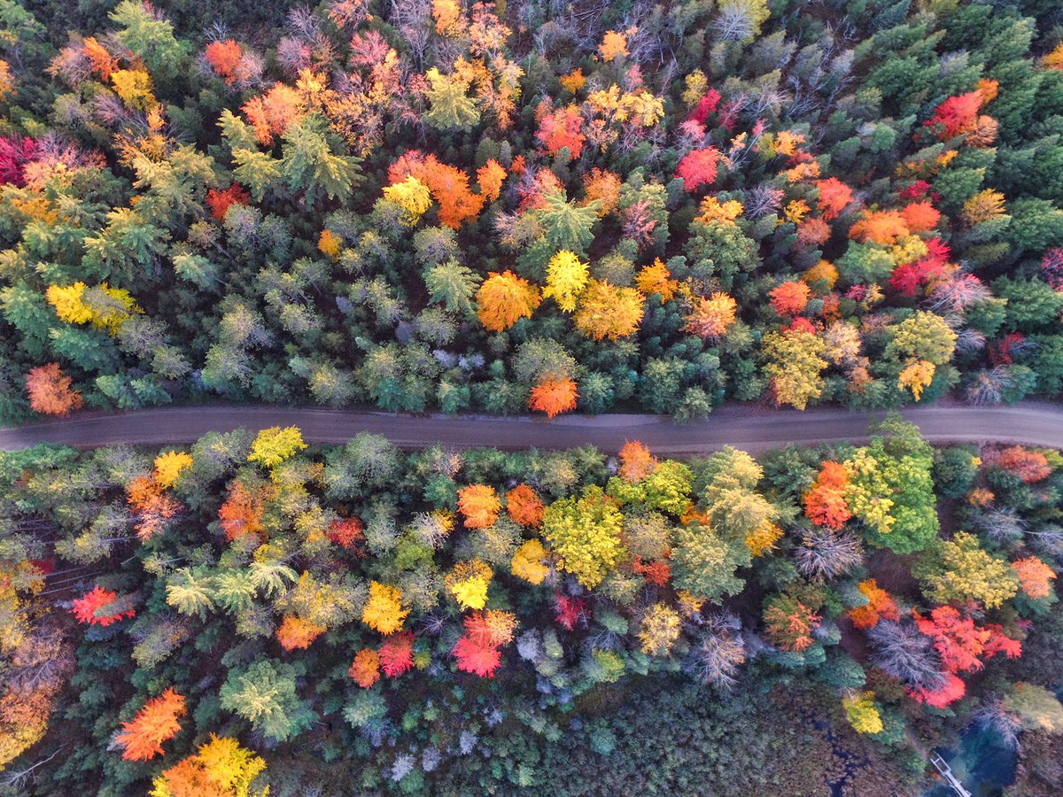 globespinning's tweet photo. Let the weekend begin...🍁🍂 @globespinning #travel #app #itinerary #fall #autumn #friday #nature #roadtrip #wanderlust #adventure #seasons #Michigan https://t.co/zXOMvklSn4
