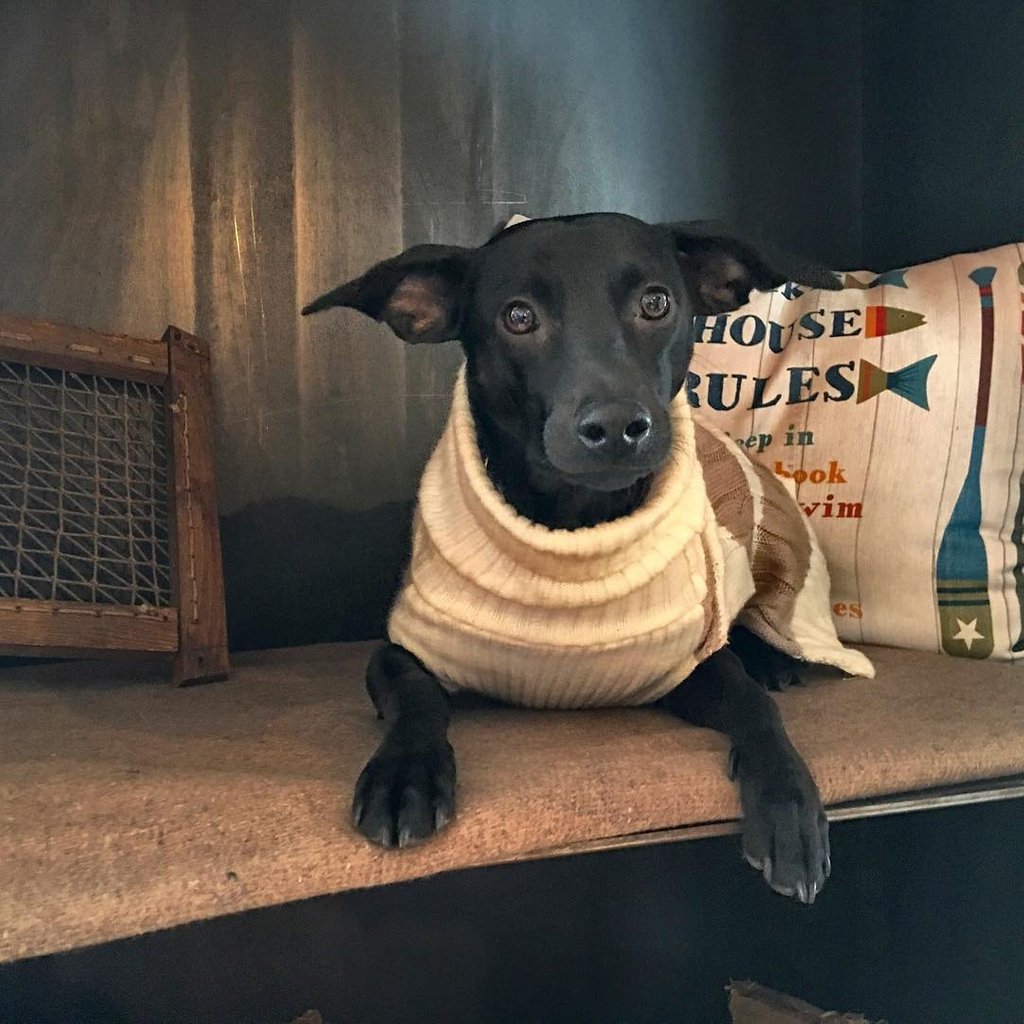 It's a chilly weekend, don't forget to pack a sweater!
Photo Credit: jimlang2017 via Instagram
#sweaterweather // #perfectdayadk