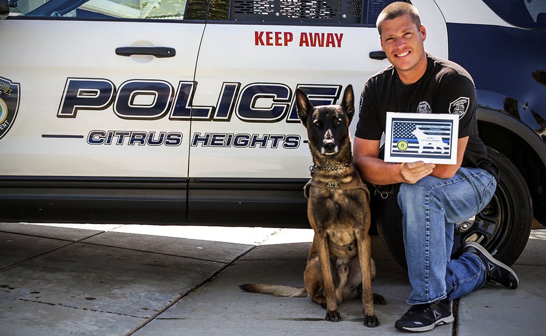 citrusheightspd's tweet photo. Last weekend, our K9 Team ๐พ๐ attended the Placer County Sheriff Eros Memorial K9 Trial. We're so proud of #K9Jack who took 3rd place overall! #K9Blitz worked his way up ladders earning 2nd in Obedience & 3rd in Protection. Congrats Officers Culver & Davis as well! #WSPCA https://t.co/wjnLmu4mu2
