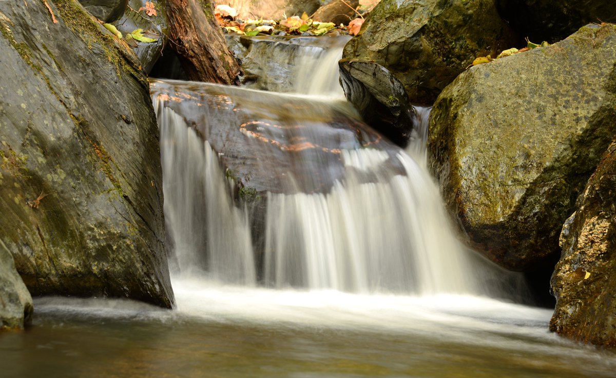 Great News! The California Natural Resources Agency awarded the Yurok Tribe a $2.7 million Cultural, Community and Natural Resources grant to purchase and restore 2,584 acres of forest in the Kepel Creek Watershed. #forestrestoration