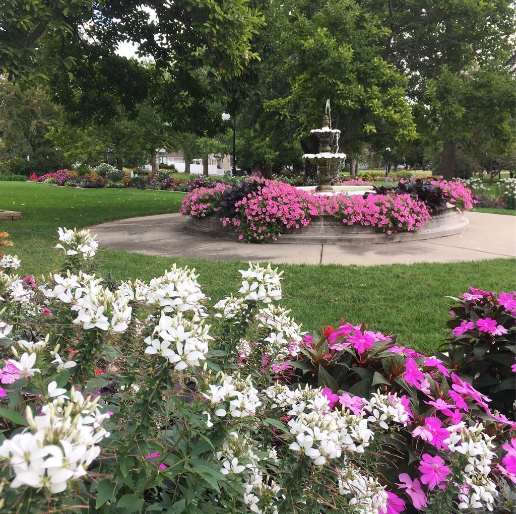 findagarden's tweet photo. Gorgeous blooms at the Buxton Park Arboretum #cleome #dahlia #pinks #whites #newguineaimpatiens #petunias #indianola #iowa #gardens #freetovisit https://t.co/cAwRVsh2QC