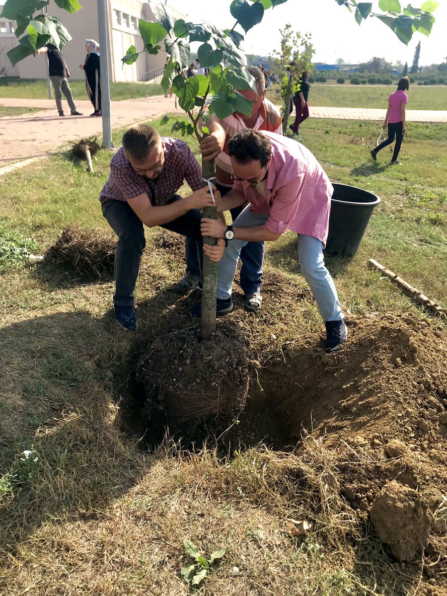 gtucevre's tweet photo. Bugün gerçekleştirdiğimiz oryantasyon etkinliğimiz kapsamında bölüme yeni başlayan öğrencilerimizle ilk iş fidan diktik. Dileriz ki mezuniyetinizi bu ağaçların gölgesinde kutlarız 👩🏻‍🎓👨🏻‍🎓🥳. 

Not: bu süre zarfında ağaçlarınızın bakımından ve sulamasından siz sorumlusunuz 🤭. https://t.co/JAb8p4skzy