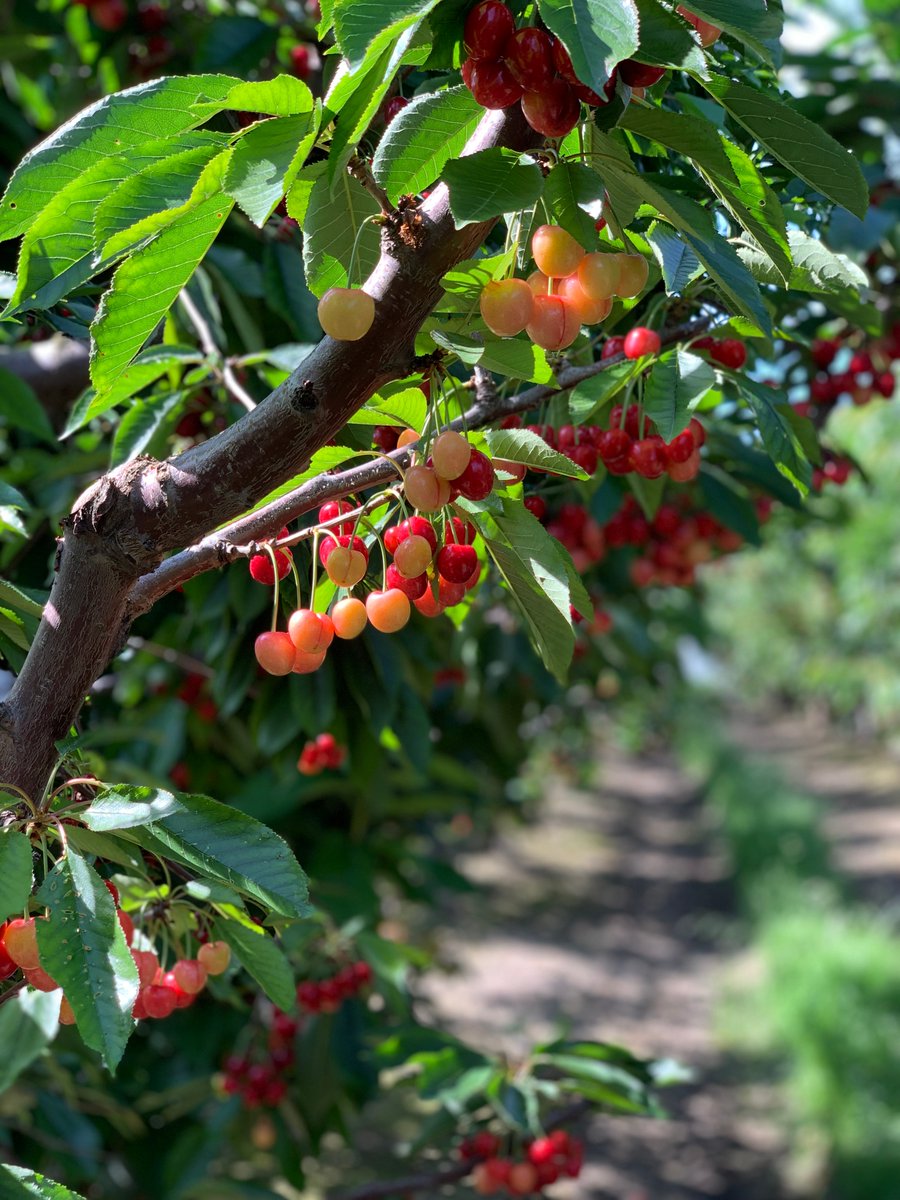 BranchToBox's tweet image. can you all just take a minute to appreciate?