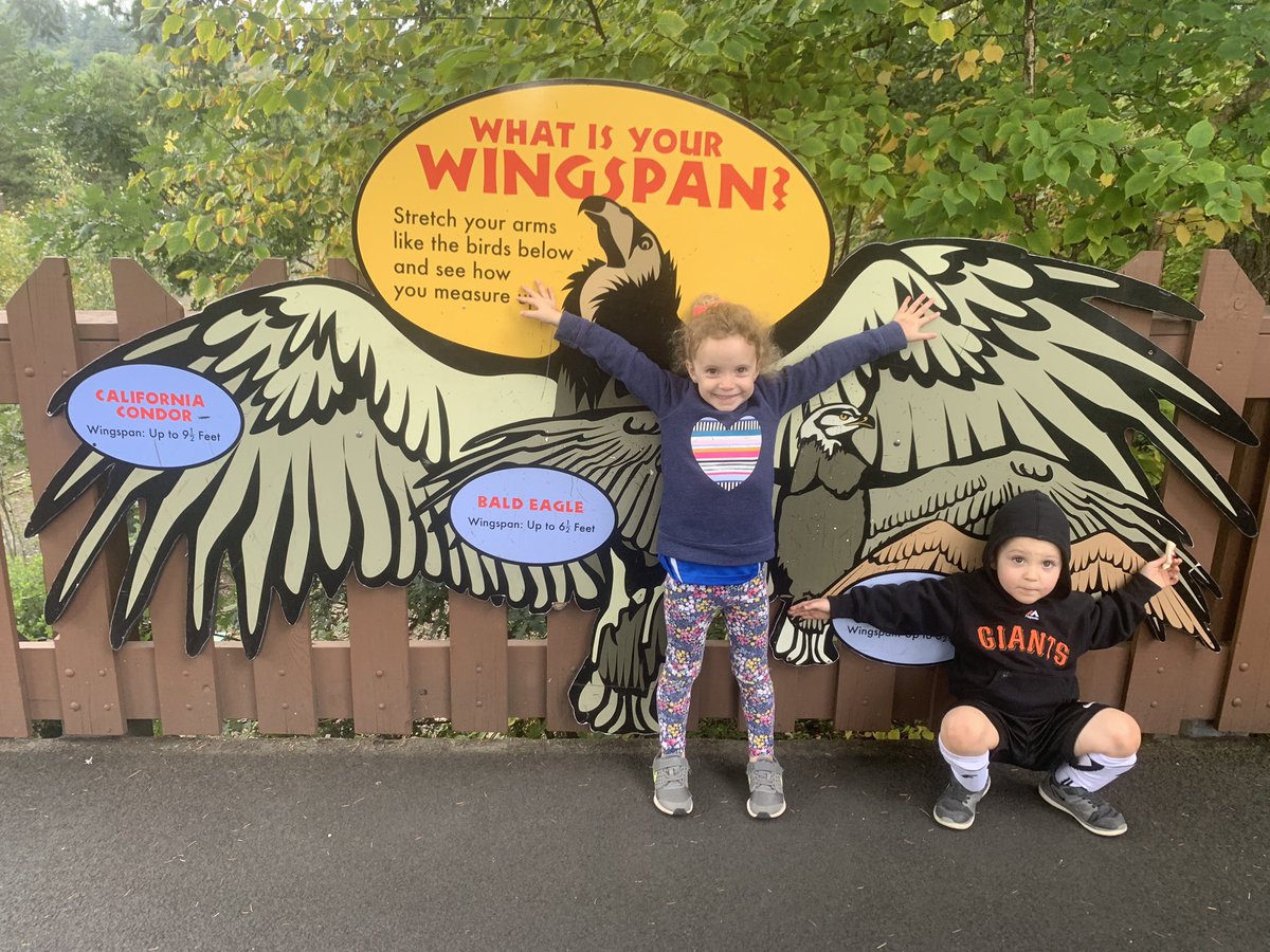taylormyra_24's tweet photo. Honest truth! Single momming of twins can be super hard sometimes and then you know it’s time to “check out” take the kids on an adventure and life is soo much better! This time the zoo was where the car happened to go! Love these 2 to the moon and back #twinmom #checkoutday https://t.co/QUhSciSFiE