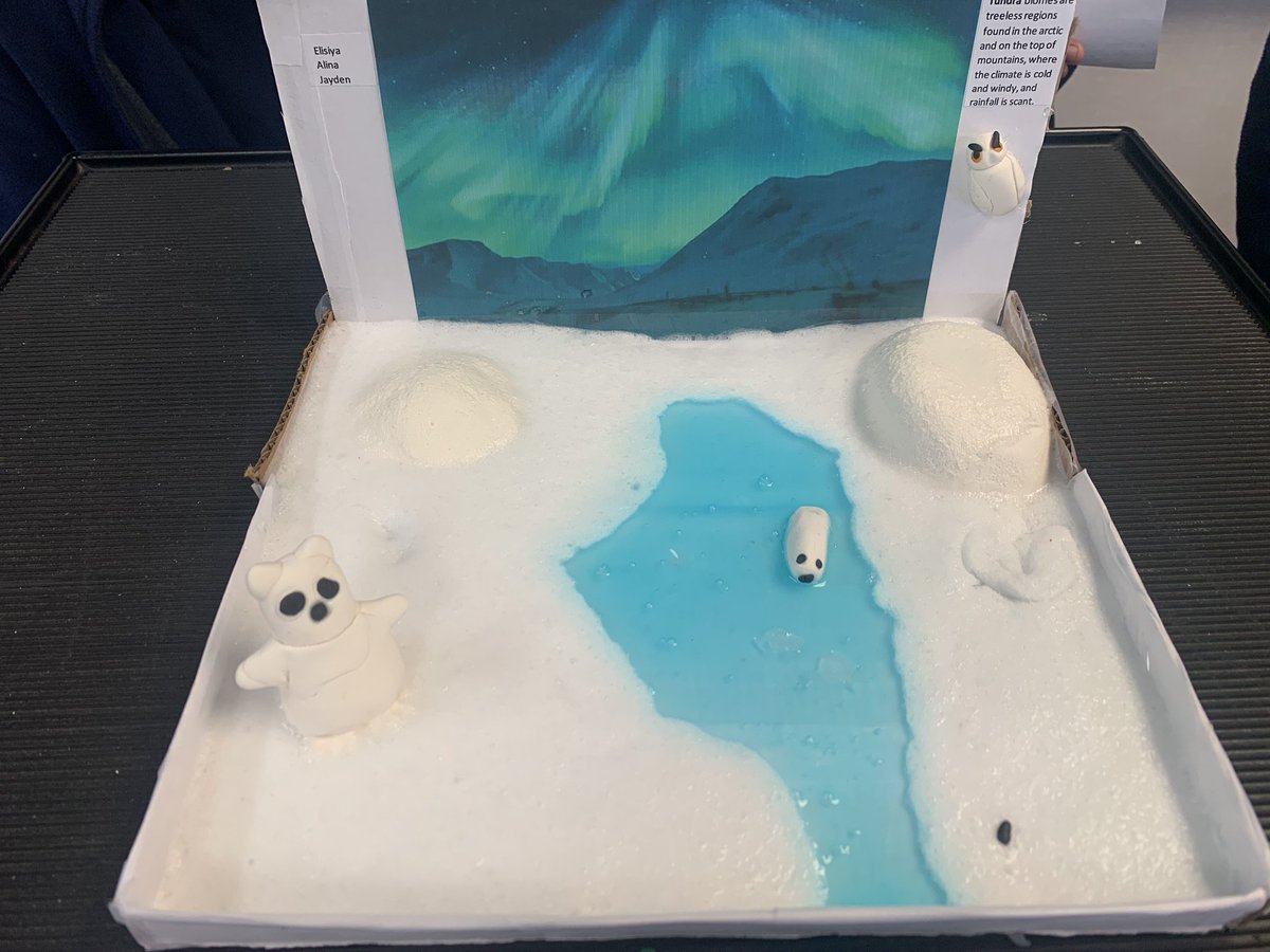 ECUEATigers's tweet photo. 6th Grade Leaders presenting their Biome Projects #ECUEAFamily #ExtremeTeaching #DareToLEAD https://t.co/nj62mHXyXR