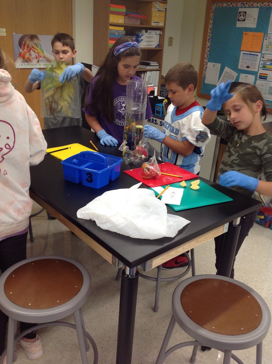 MissDainsBES's tweet photo. Creating our ecosystems. What will we observe over the next few weeks and how will the variables change the rate of decomposition? #ctreg14 https://t.co/CyjppckiuQ