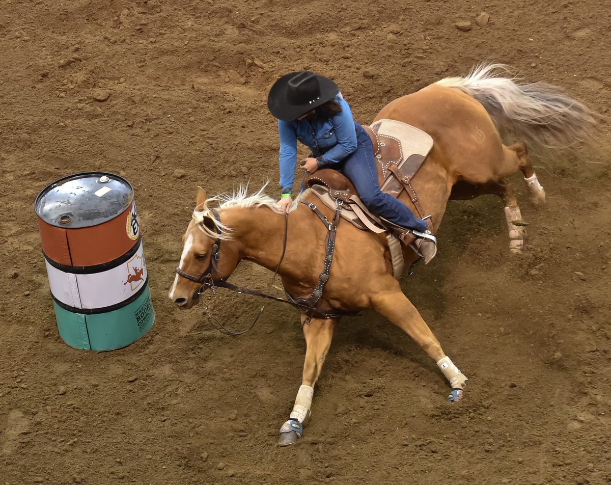 ProvincialEx's tweet photo. 🎉Less than 20 days until Ag Ex!🎉
Who has their Rodeo tickets already!?🙋
If you still need yours click here to purchase them online!
https://t.co/w9cIjsl5ag
#RMWF #MBSummerFair #MBAGEX #agriculture #rodeo #manitobarodeo #cowboys #cowgirls #cattle #cattleshow https://t.co/NWojvpkYKZ