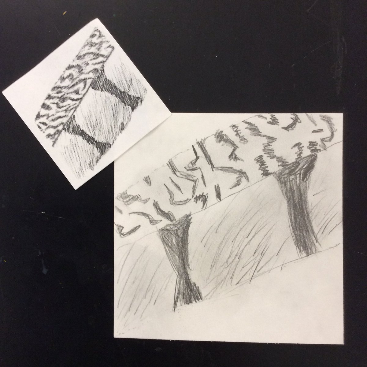 artwithmsem's tweet photo. 7th grade examples of the Mini Texture Challenge: enlarge a 2x2 inch texture sample ➡️ 4x4 pencil drawing. 😍 #arted #drawing #texturechallenge #developcraft https://t.co/MW9zwdUnQk