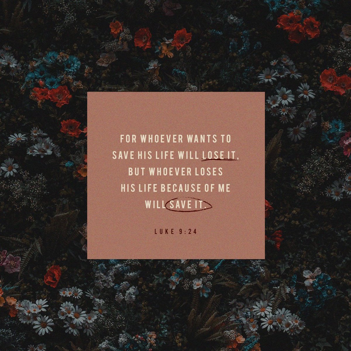 AbndntLyfe's tweet image. It's #FunFaithFriday #giveup your life #loseyourlife for Christ by doing so you will have #savedyourlife because you will not have #lostitto #becauseof or #inthisworld... thank you #holyspirit for #revelation #AbndntLyfe