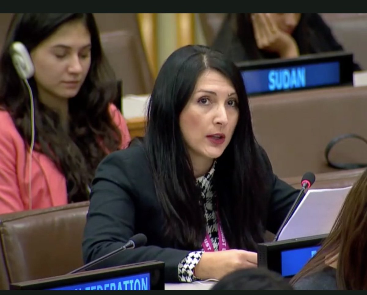 RomaniaUN_NY's tweet photo. #Romania highlighted provisions of its National Strategy in the field of equal opportunities between women and men during the general debate on Advancement of women in the #ThirdCommitte #UNGA74 https://t.co/PbeXkFc1pC