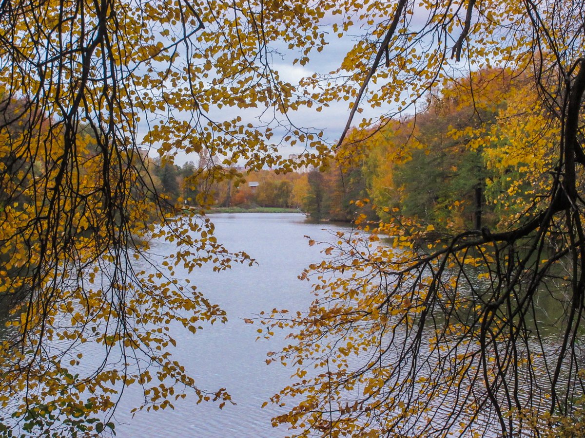 annie_mccartney's tweet photo. Золотая осень на воде №2 https://t.co/fYGw6H5FdN