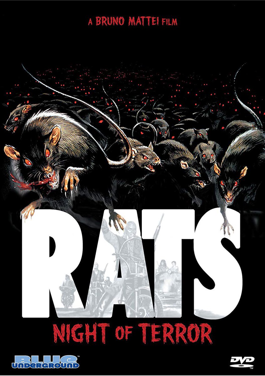 recommended viewing: MURDER ROCK, RATS: NIGHT OF TERROR, BLOODY CHRISTMAS