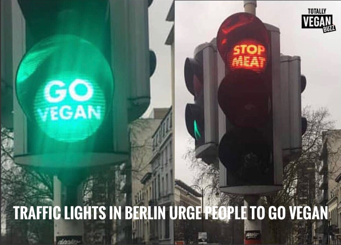 TemptHemp's tweet photo. This is so neat! We vote to have these traffic lights in the US too. What do you think?
.
.
.
.
.
.
📸 via @totallyveganbuzz
#vegan #plantbased #hempmilk #dairyfree #ditchdairy https://t.co/qGogJyJ3ut
