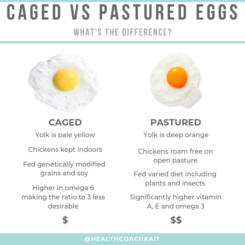 healthcoachkait's tweet photo. Caged vs pastured eggs π³ Pastured is the gold standard. "Free range" is often loosely regulated depending on where you live.
We have it so good in Australia, nearly all eggs look like the one on the right! π€© https://t.co/uKpeppmp6o